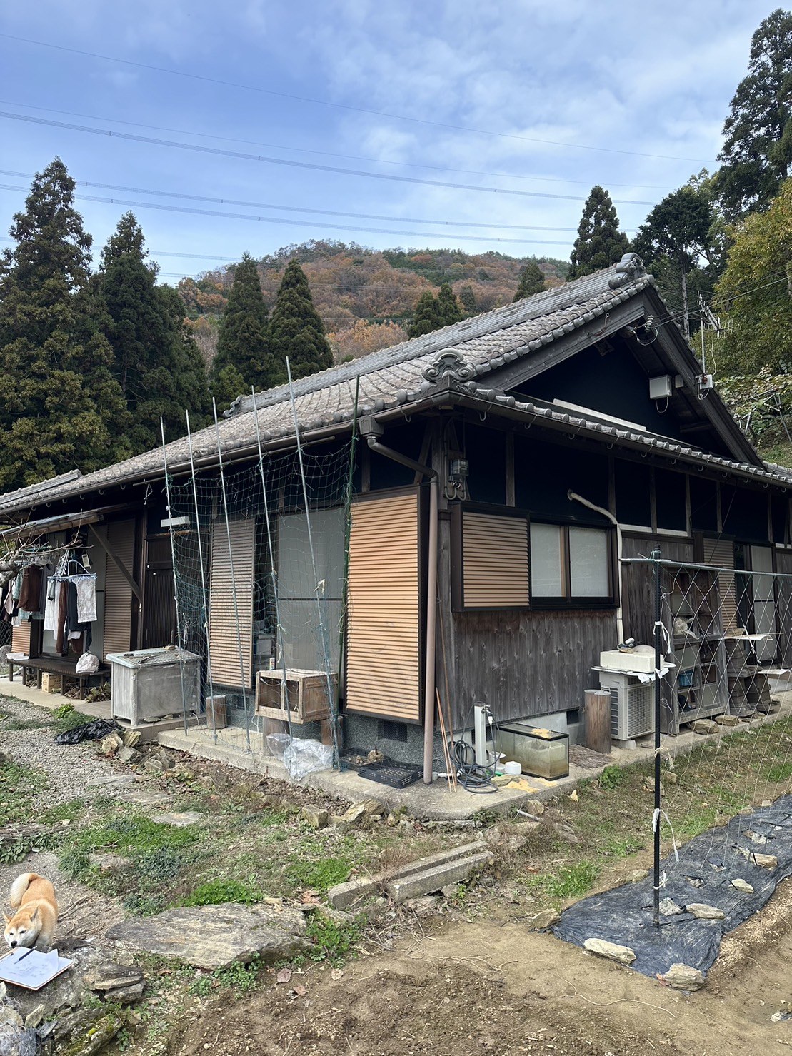紀の川市桃山町黒川の敷地1890坪！中古住宅 写真1