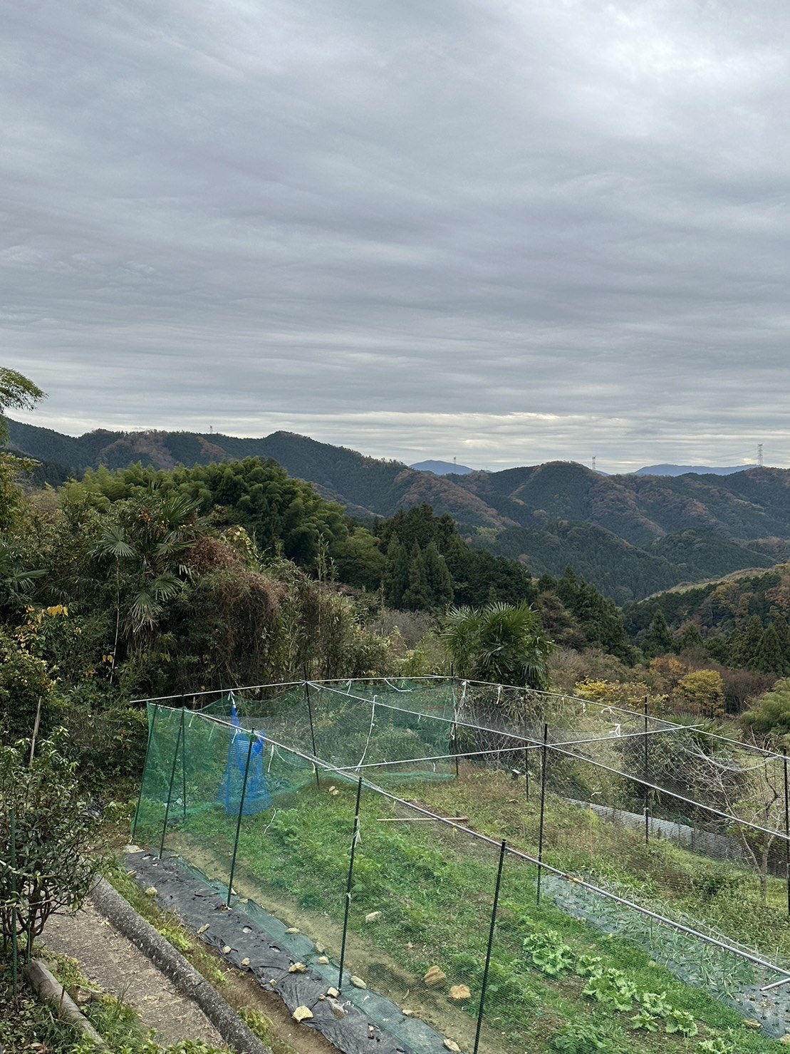紀の川市桃山町黒川の敷地1890坪！中古住宅 写真9