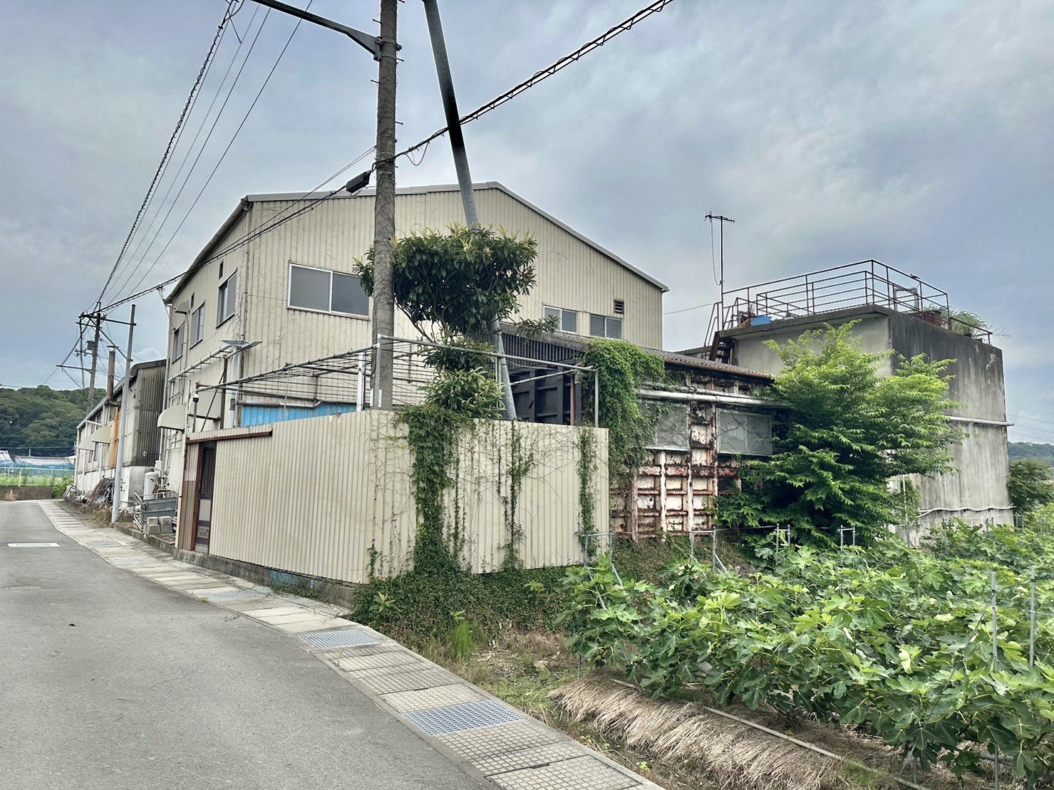 紀の川市穴伏3階建 約300坪売倉庫 写真3