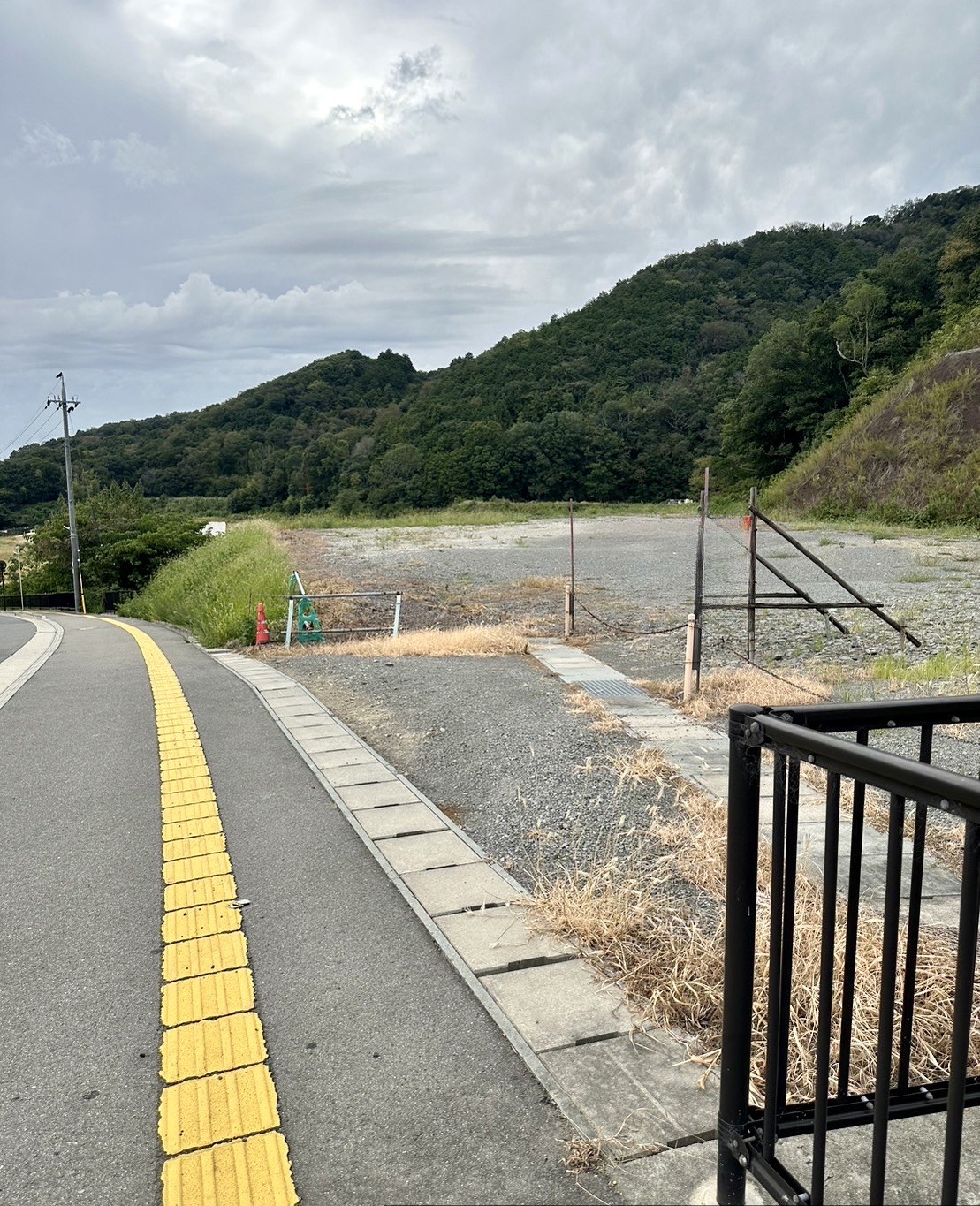 岩出市 平地317坪、山林871坪（合計1188坪）資材置場等に最適です！ 写真1