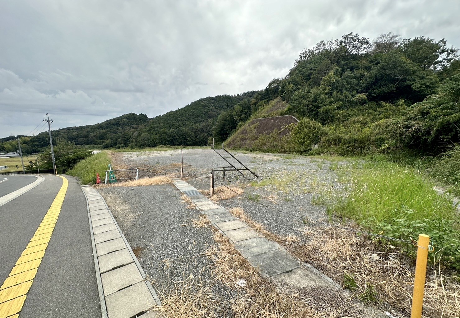 岩出市 平地317坪、山林871坪（合計1188坪）資材置場等に最適です！ 写真2
