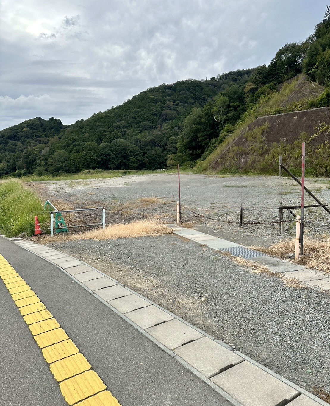 岩出市 平地317坪、山林871坪（合計1188坪）資材置場等に最適です！ 写真3