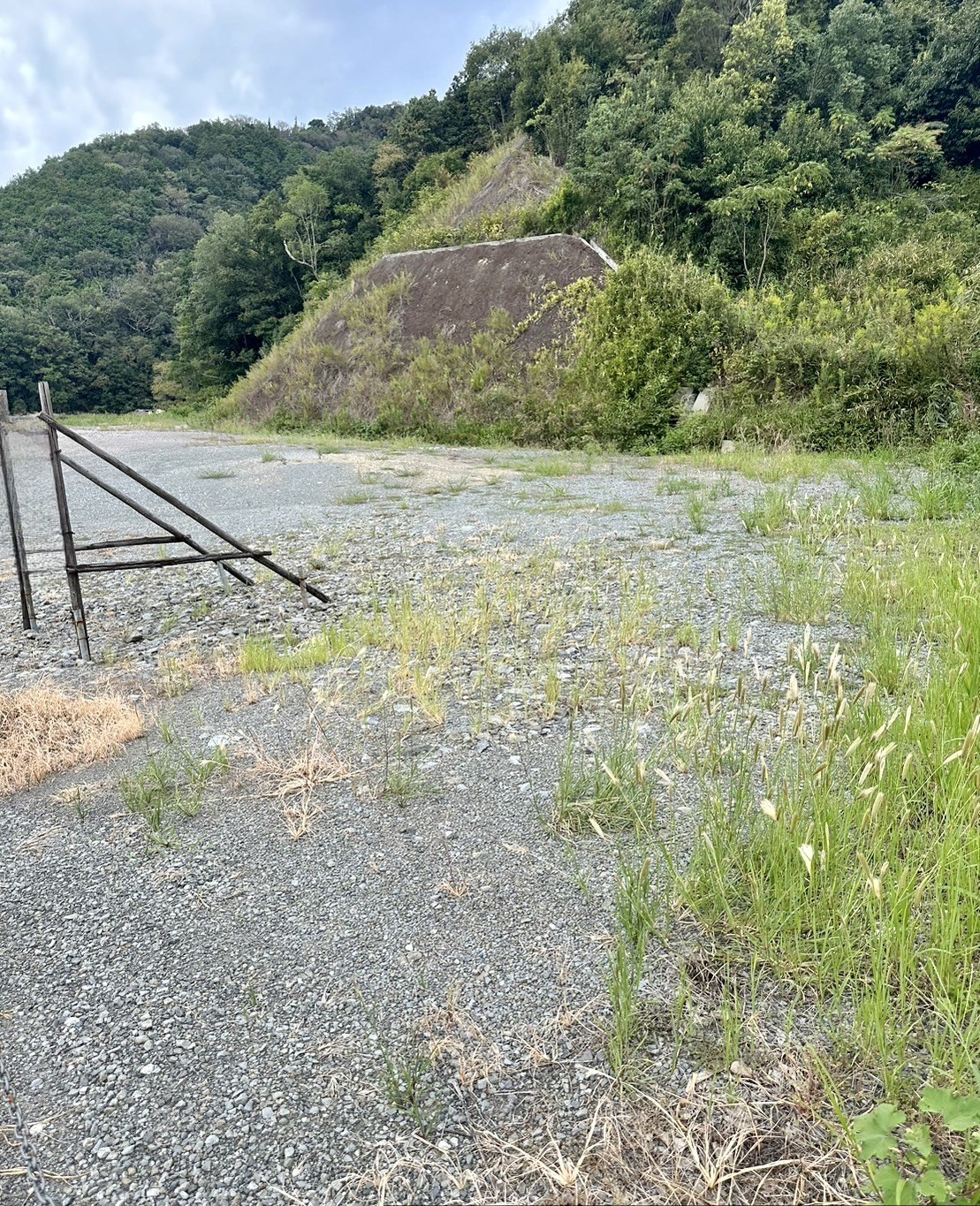 岩出市 平地317坪、山林871坪（合計1188坪）資材置場等に最適です！ 写真4