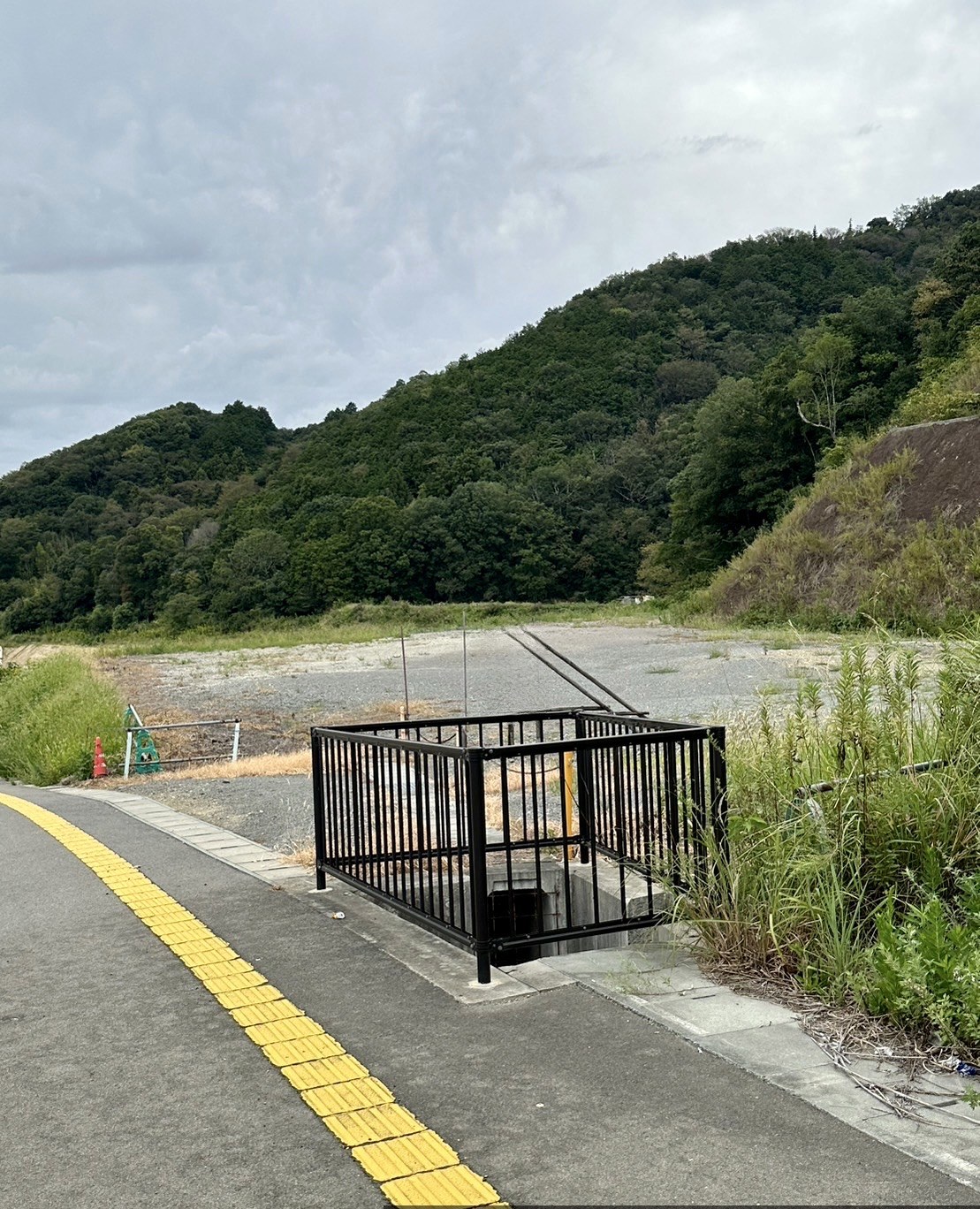岩出市 平地317坪、山林871坪（合計1188坪）資材置場等に最適です！ 写真5
