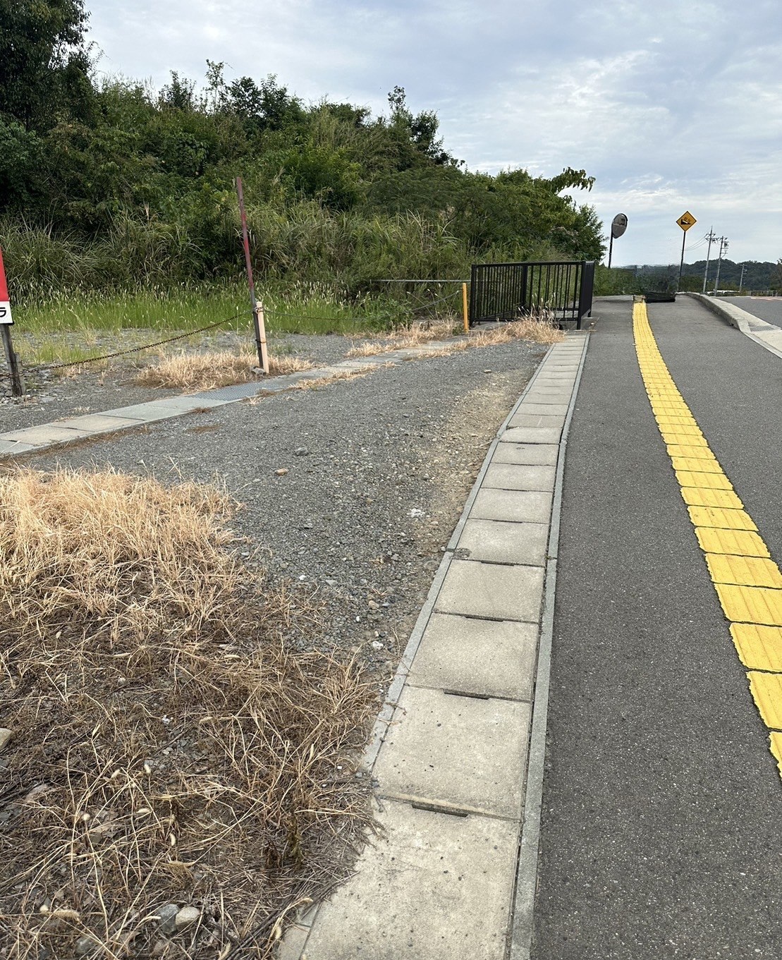 岩出市 平地317坪、山林871坪（合計1188坪）資材置場等に最適です！ 写真6