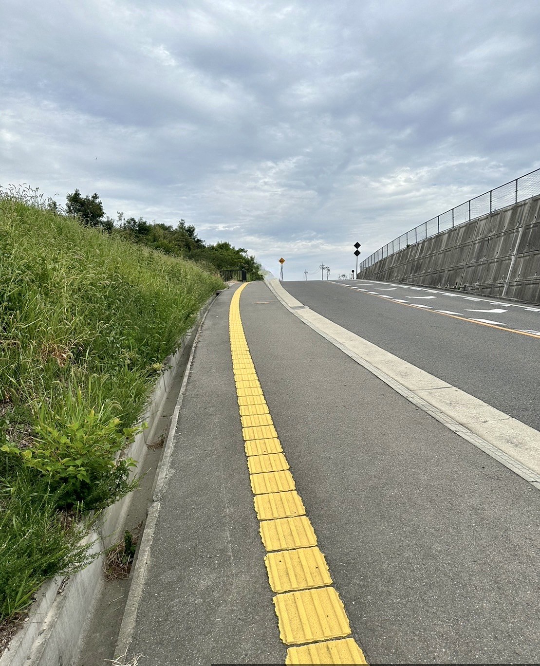 岩出市 平地317坪、山林871坪（合計1188坪）資材置場等に最適です！ 写真7