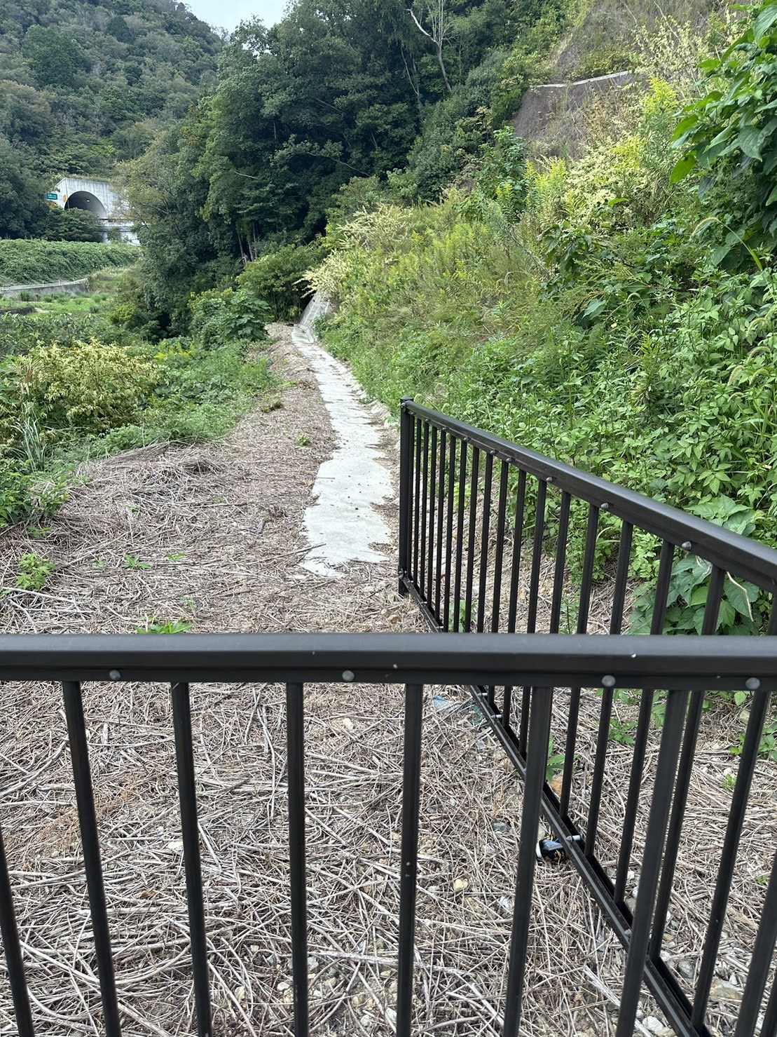 岩出市 平地317坪、山林871坪（合計1188坪）資材置場等に最適です！ 写真8