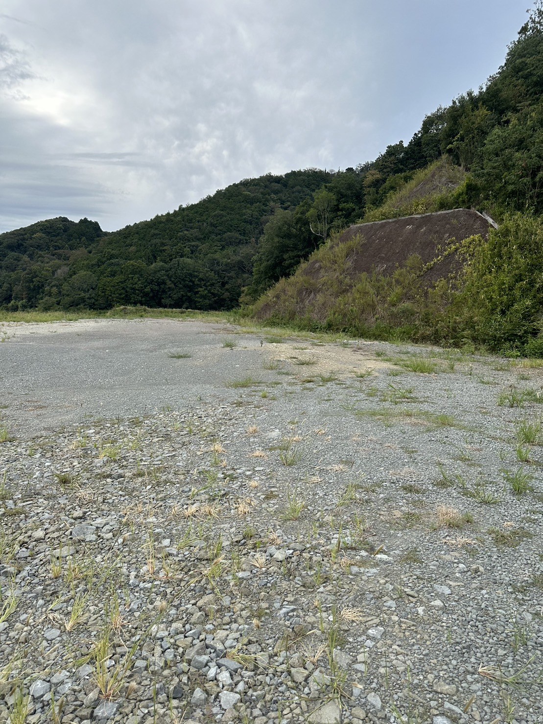 岩出市 平地317坪、山林871坪（合計1188坪）資材置場等に最適です！ 写真9
