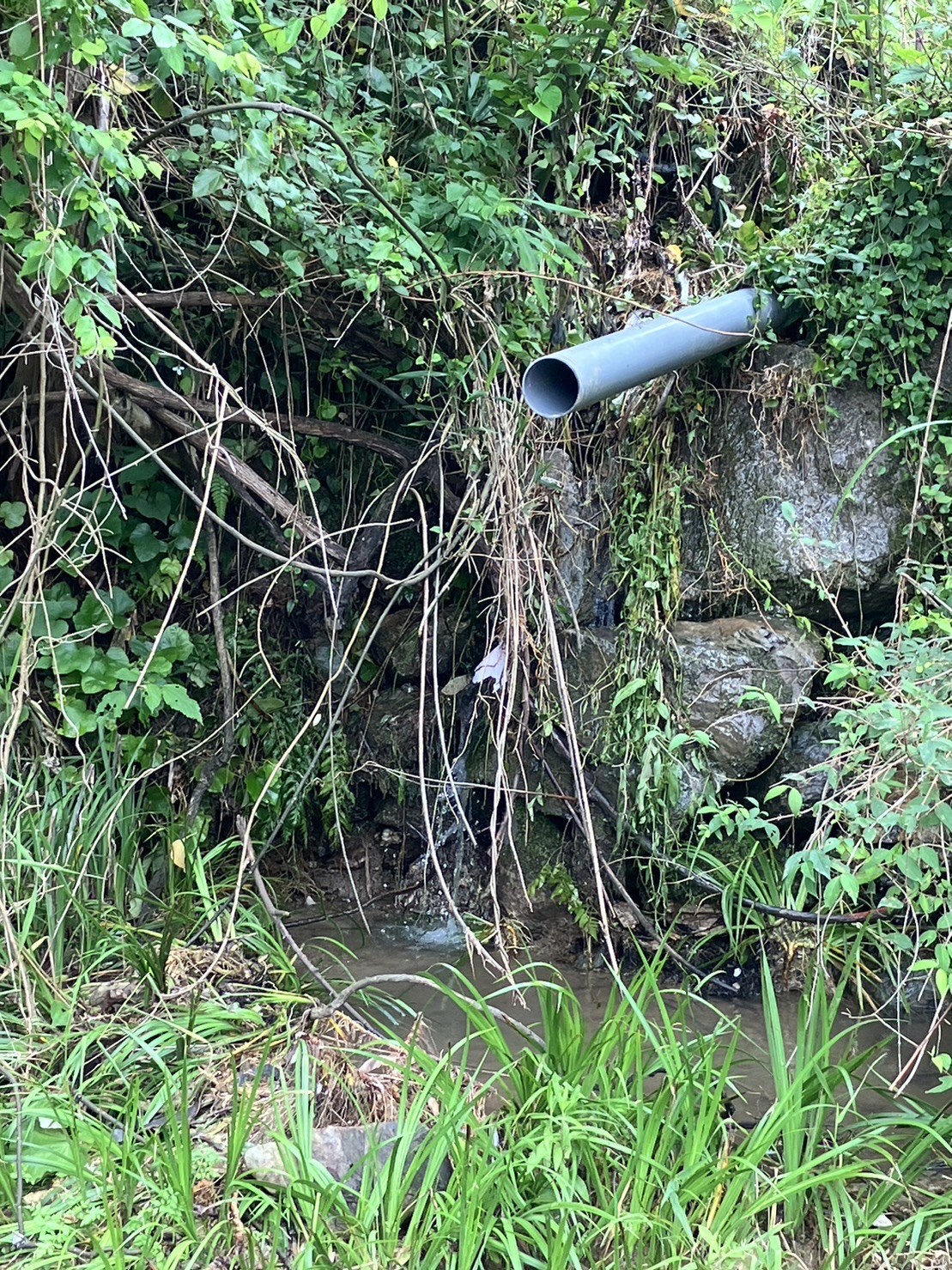 紀美野町福井116坪の宅地！（キャンプや資材置場に最適！）現地ご案内します 写真6