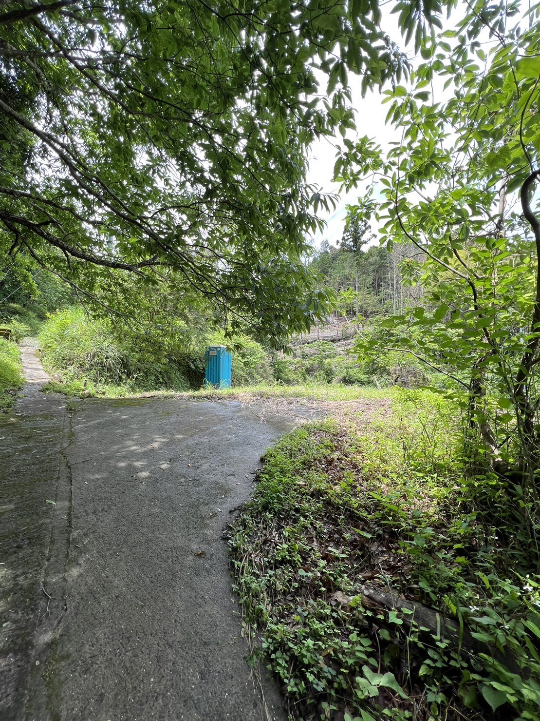 紀美野町福井116坪の宅地！（キャンプや資材置場に最適！）現地ご案内します 写真7