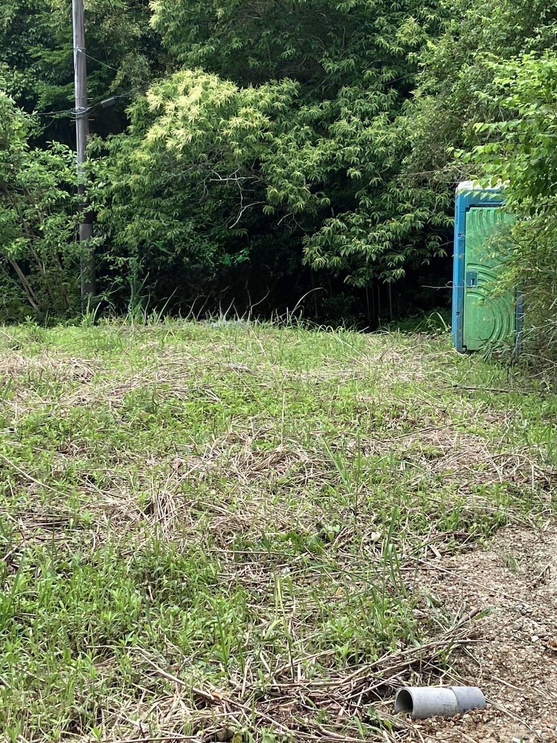 紀美野町福井116坪の宅地！（キャンプや資材置場に最適！）現地ご案内します 写真8