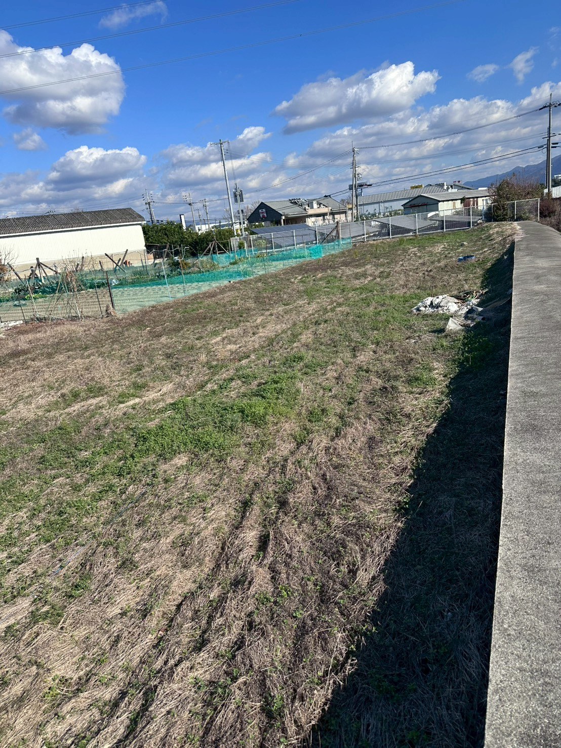 岩出市中島（バイパスから南へ120ｍ） 資材置場用地 写真3