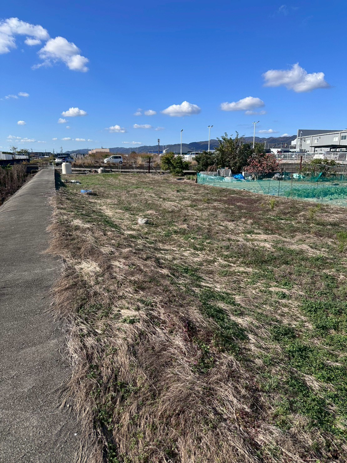 岩出市中島（バイパスから南へ120ｍ） 資材置場用地 写真5