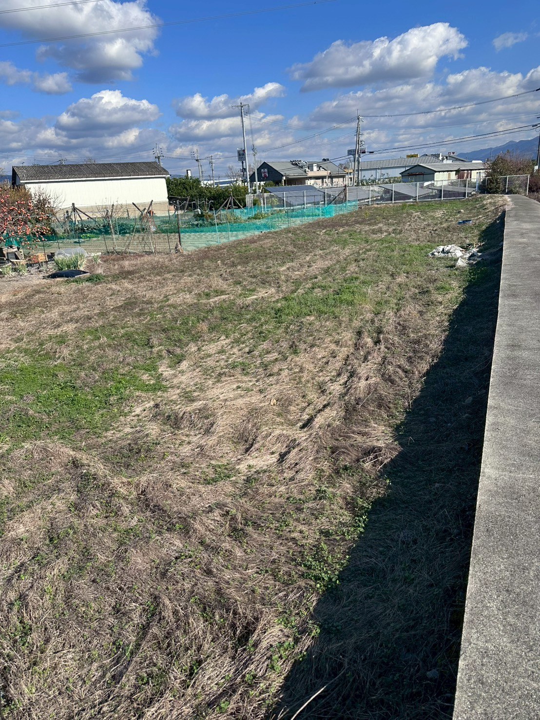 岩出市中島（バイパスから南へ120ｍ） 資材置場用地 写真6