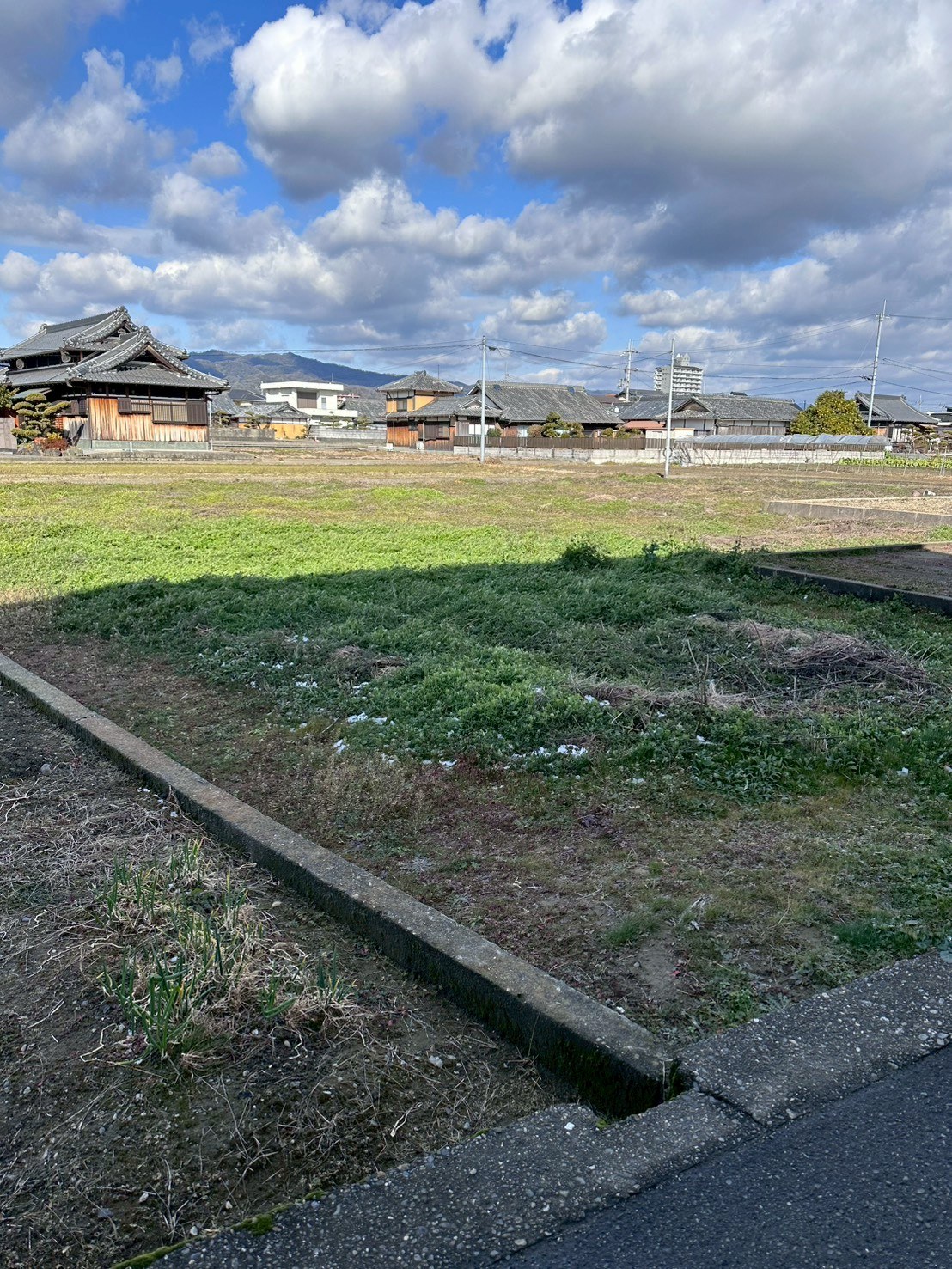 岩出市畑毛の2種農地（233坪） 写真3