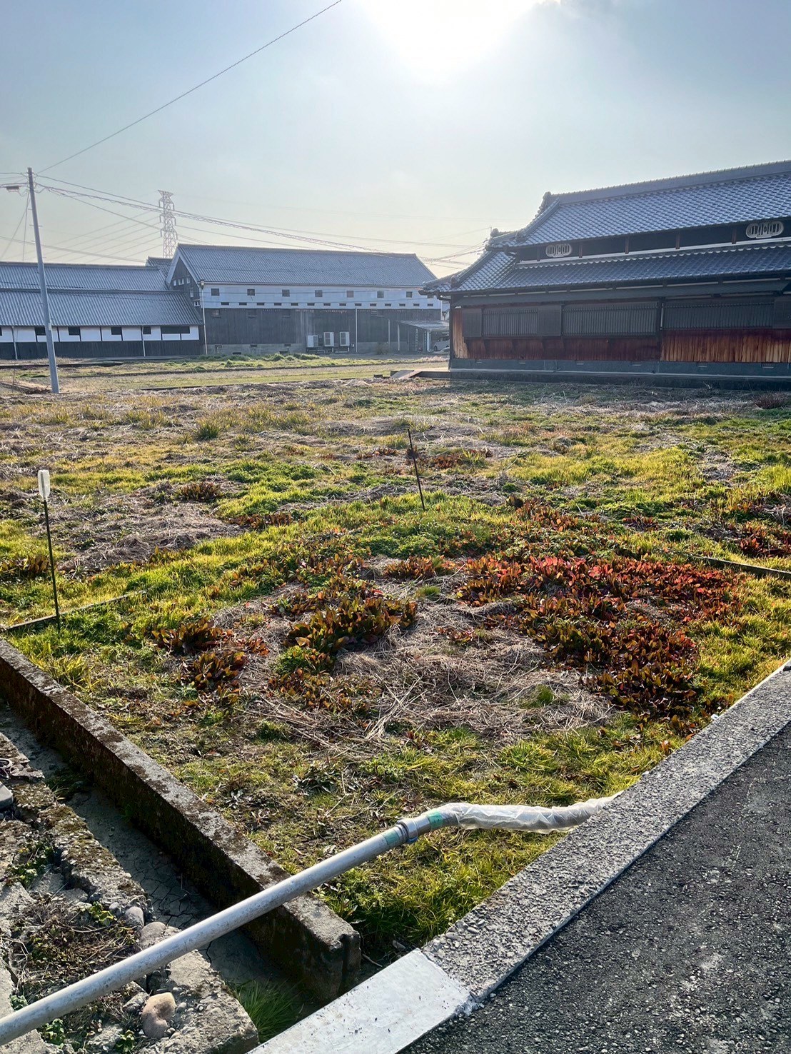岩出市畑毛の1種農地（187坪） 写真1