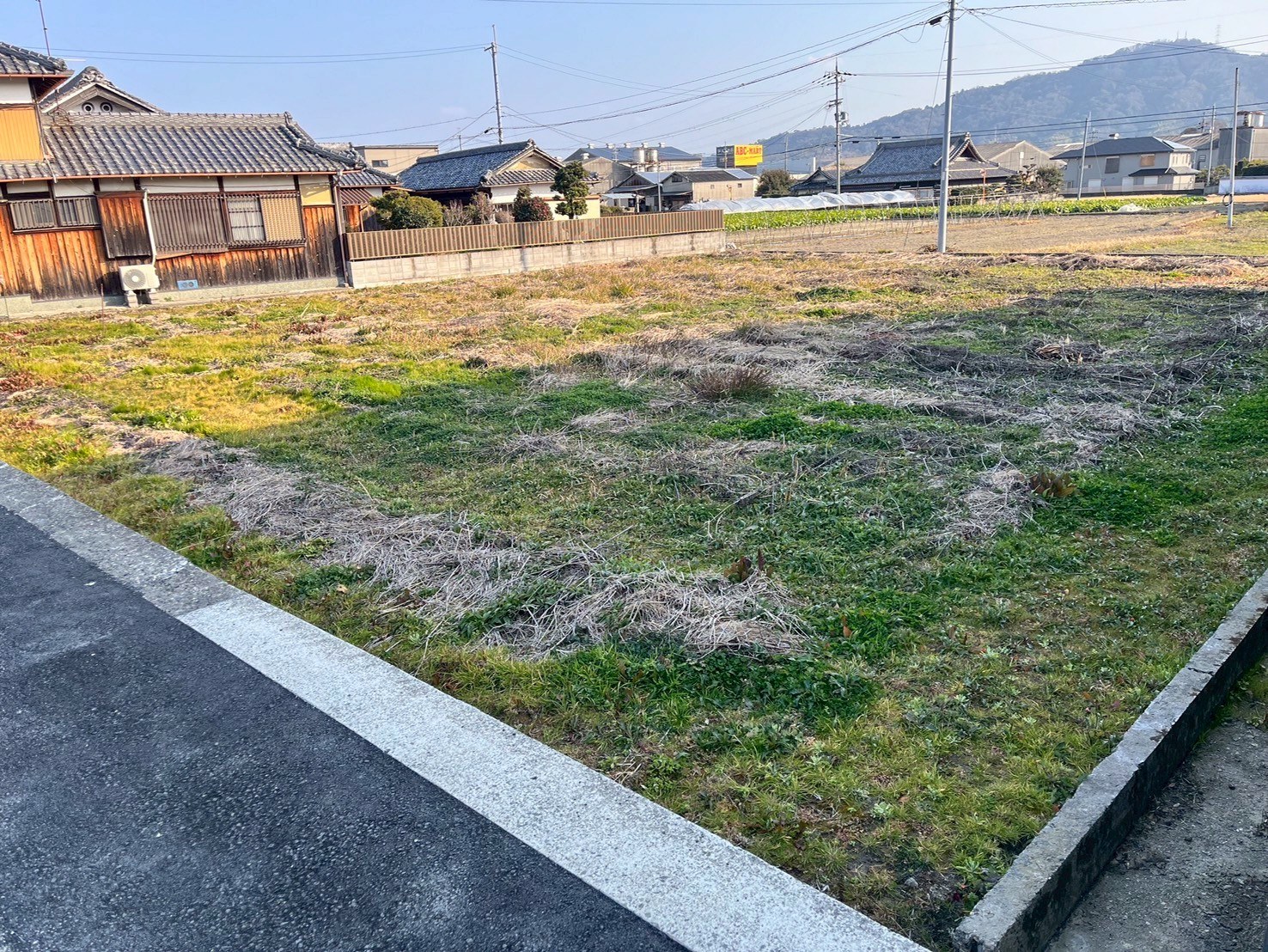 岩出市畑毛の1種農地（187坪） 写真2