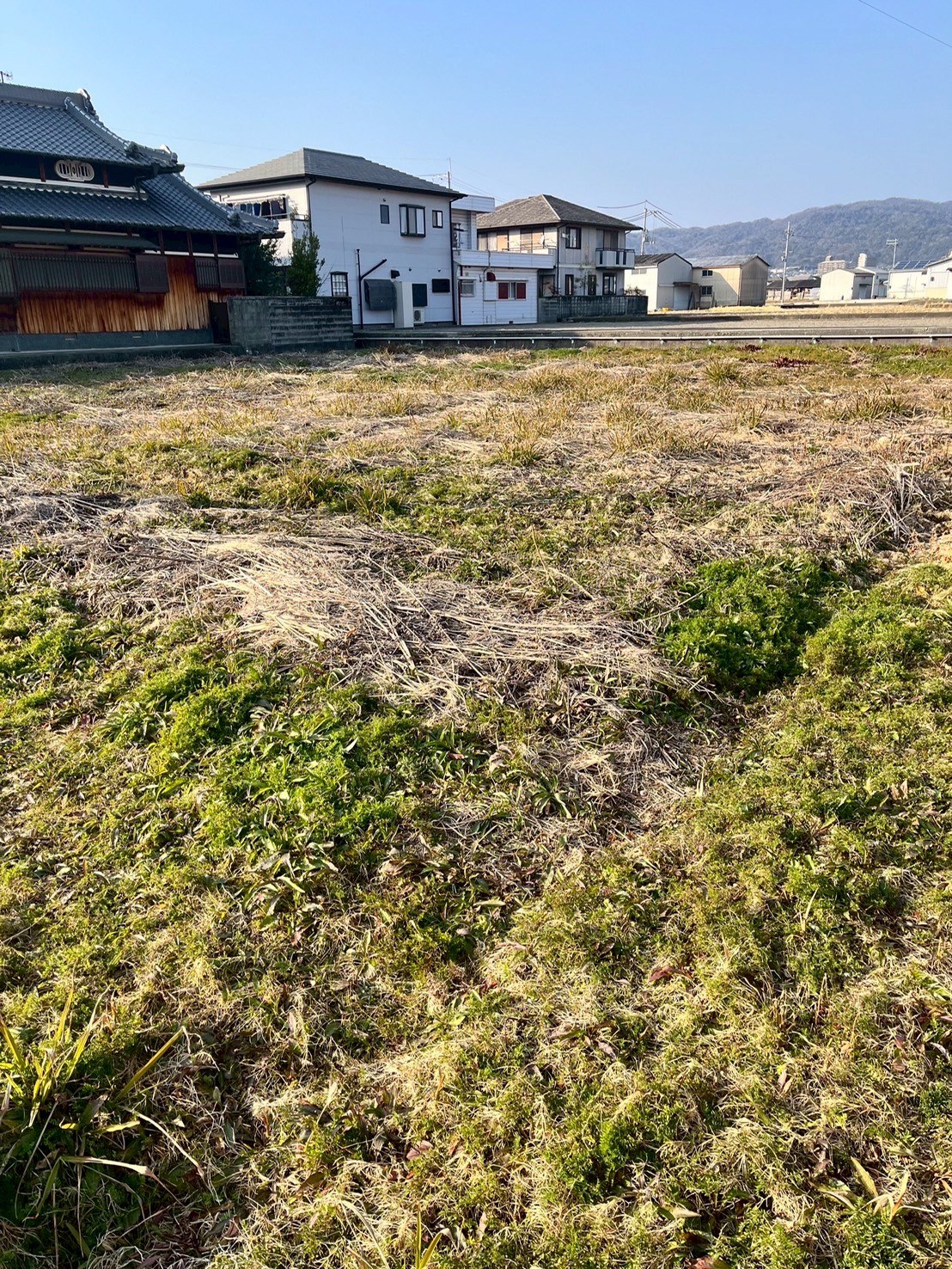 岩出市畑毛の1種農地（187坪） 写真5